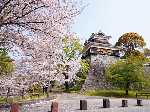 地中海郵輪榮耀號福岡、 佐世保６天